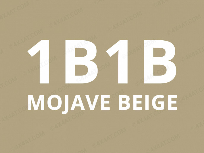 1B1B Mojave Beige