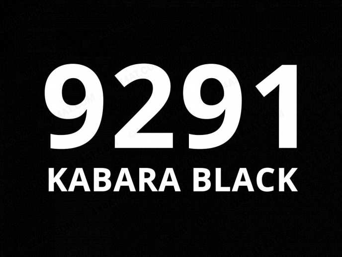 9291 Kabara Black