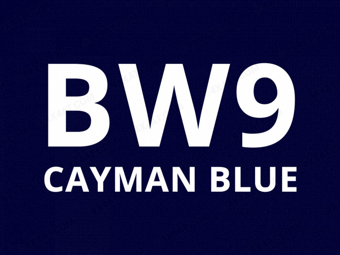 BW9 Blue