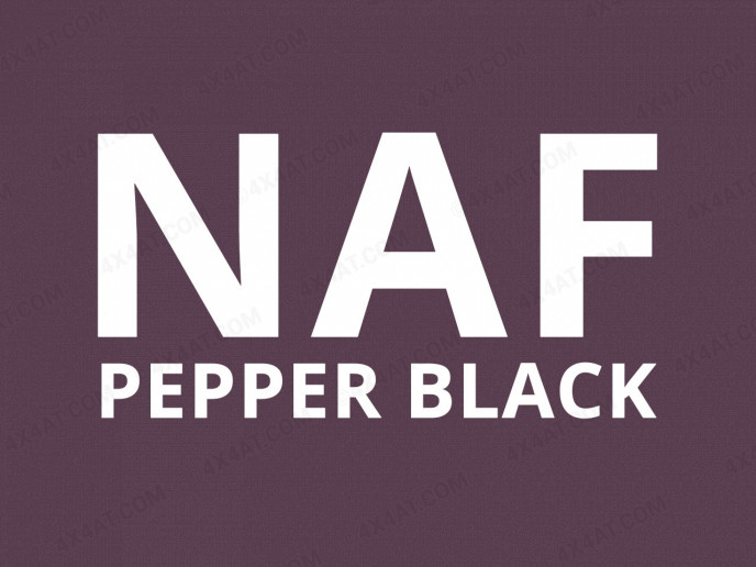 Nissan Navara Double Cab Commercial Hard Top NAF Pepper Black Paint Option