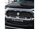 Ford Ranger 2019 On Predator Mesh Grille - Gloss / Matte Black