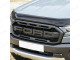 Ford Raptor 2019-2022 Dark Smoke Bonnet Guard