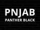 Ford Ranger Single Cab Commercial Hard Top PNJAB Panther Black Paint Option