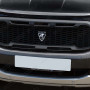 Close-up view of Predator logo on Grille