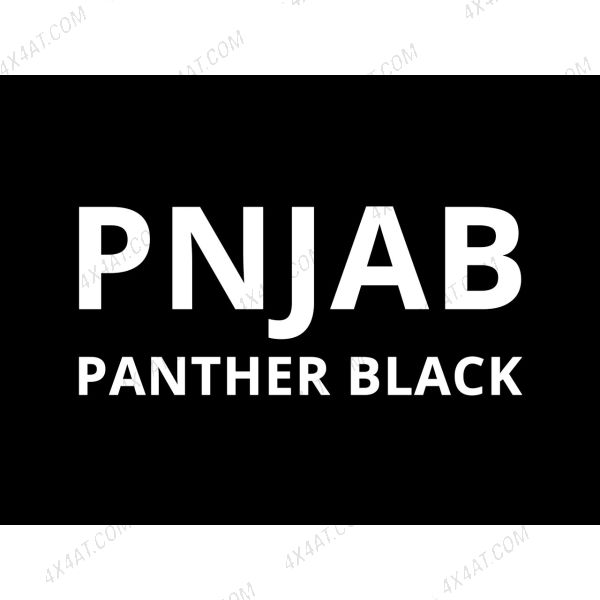 PNJAB Panther Black