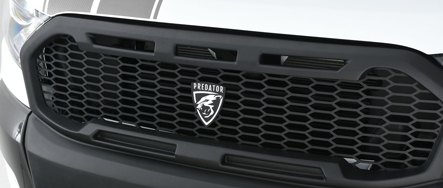 Grille Styling